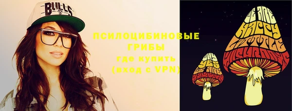 стаф Заводоуковск